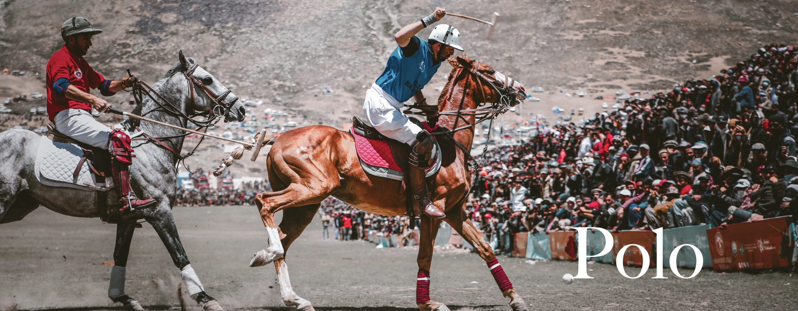 Polo